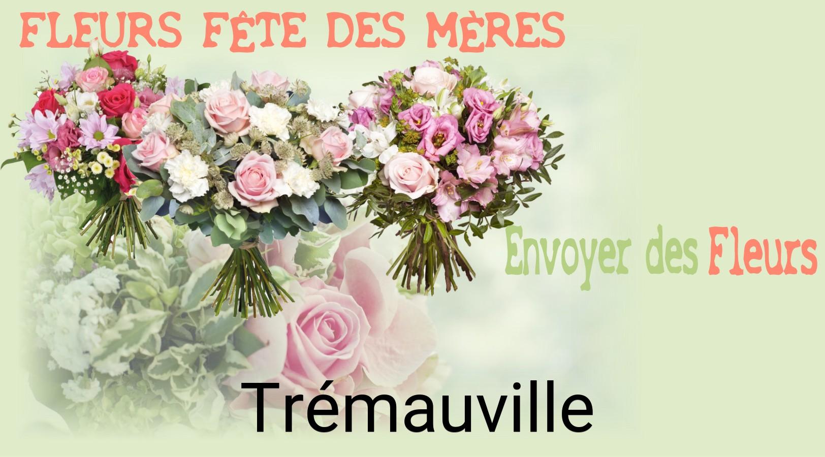 Bouquet de Fête des Mères livré à Trémauville